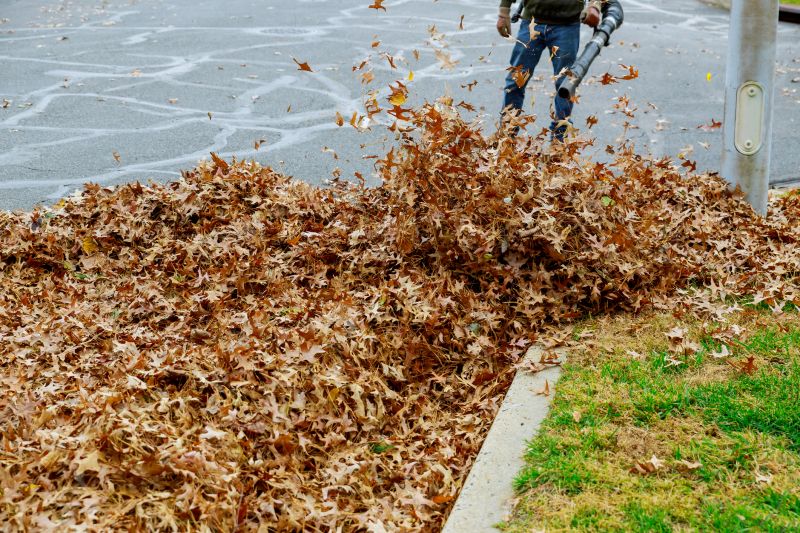 Commercial Leaf Removal in Ventura County, CA