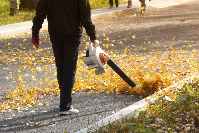 Commercial Leaf Removal in Ventura County, CA