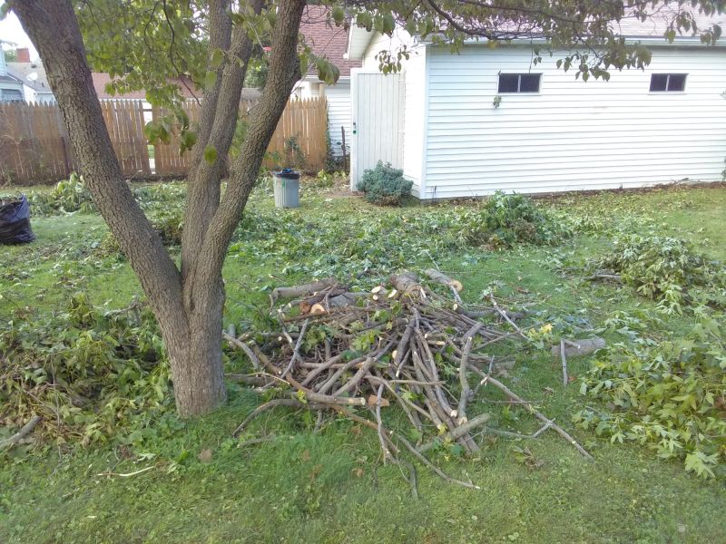 Effective Leaf Raking Cost Strategies — Cost of Leaf Raking