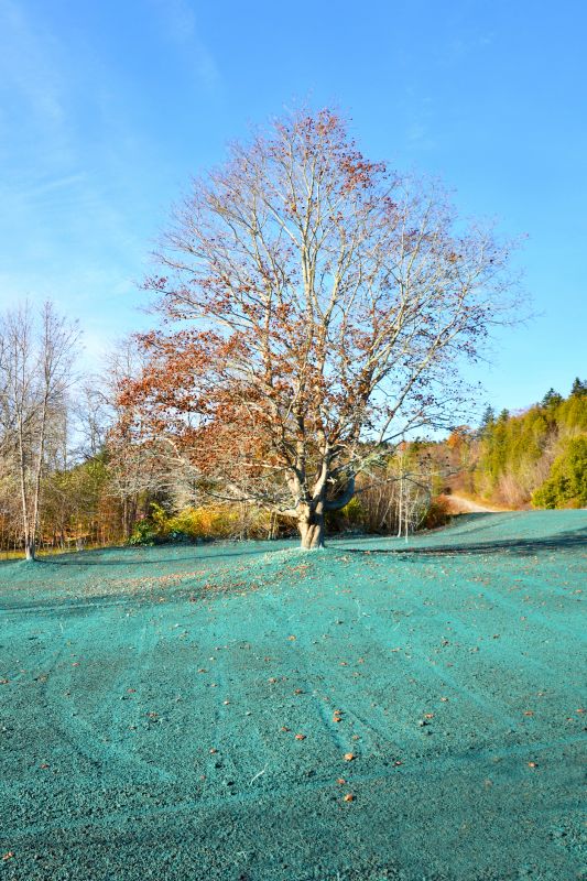 Effective Leaf Raking Cost Strategies — Cost of Leaf Raking