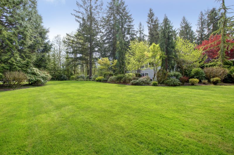 Effective Leaf Raking Cost Strategies — Cost of Leaf Raking