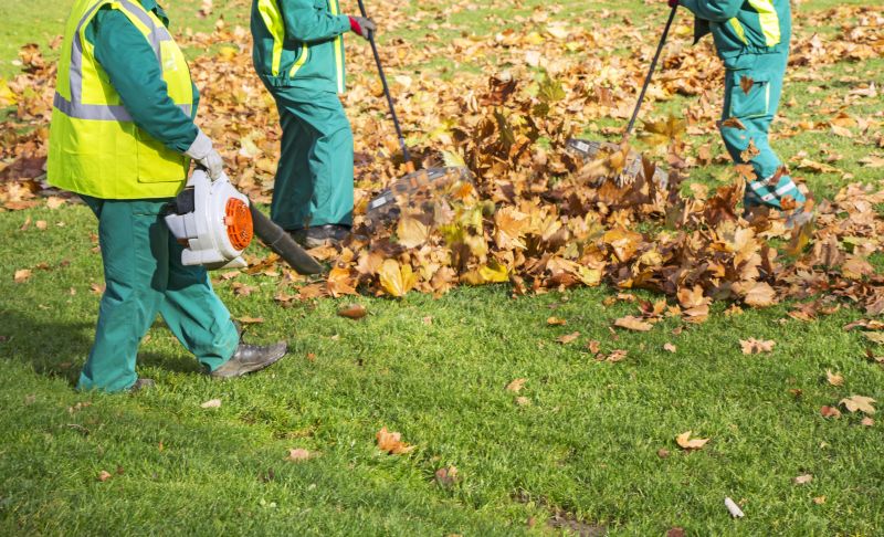 Effective Leaf Raking Cost Strategies — Cost of Leaf Raking