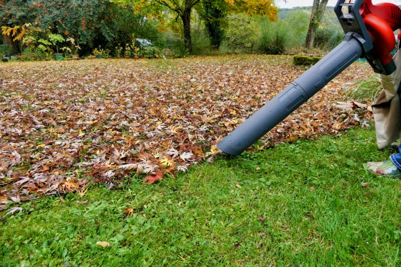Effective Leaf Raking Cost Strategies — Cost of Leaf Raking