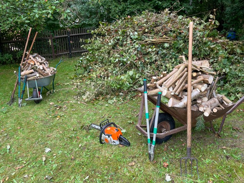 Fallen Branch Removal in Ventura County, CA