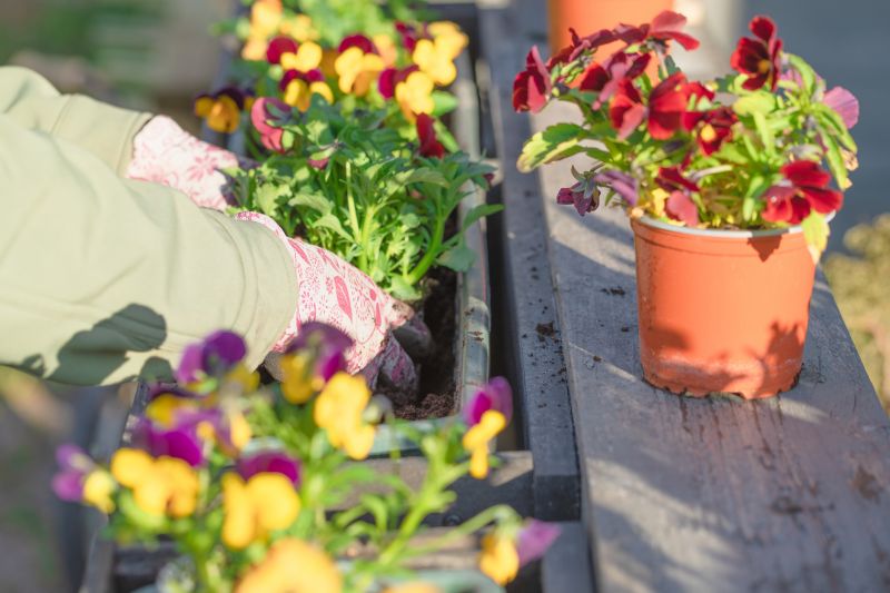 Flower Planting Service in Honolulu, HI