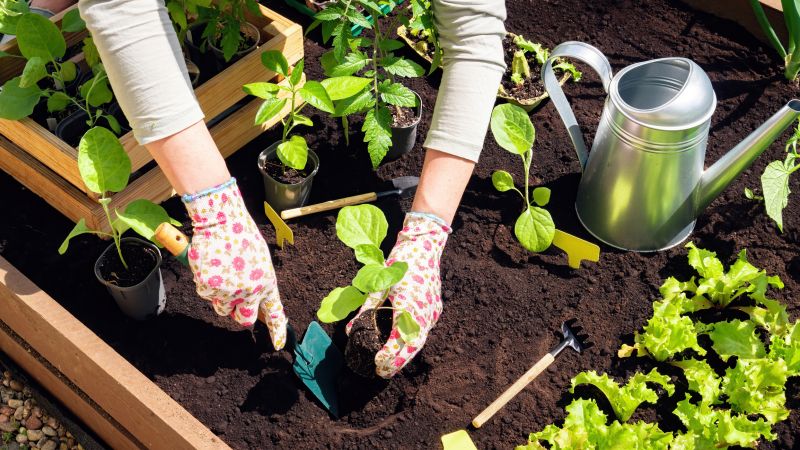 Garden Bed Construction in Honolulu, HI