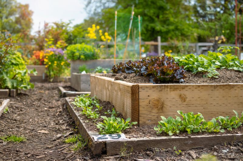 Garden Bed Construction in Honolulu, HI
