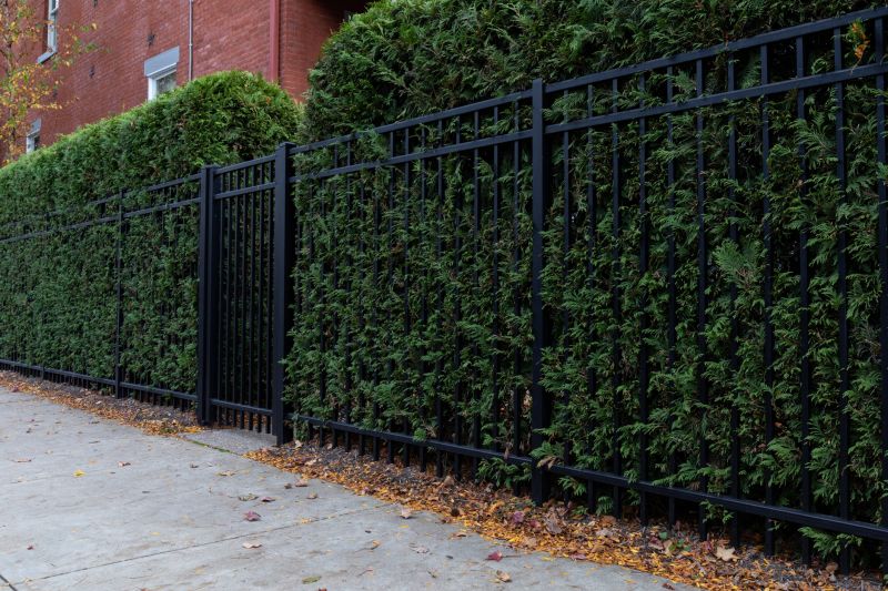 Hedge Installation in Honolulu, HI