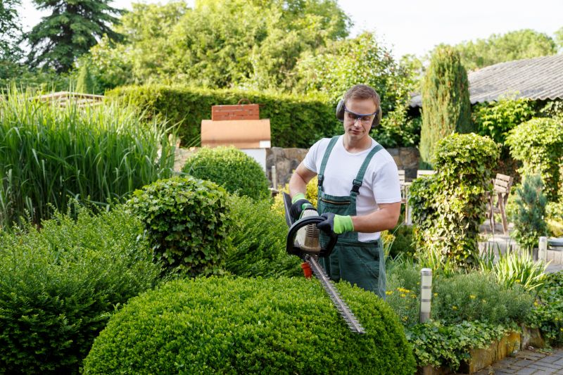 Landscape Pruning Service in Honolulu, HI