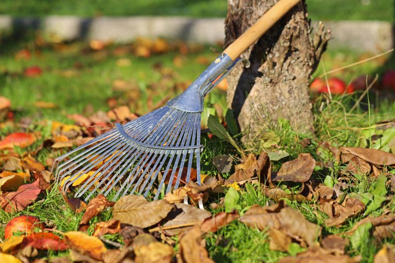 Leaf Raking