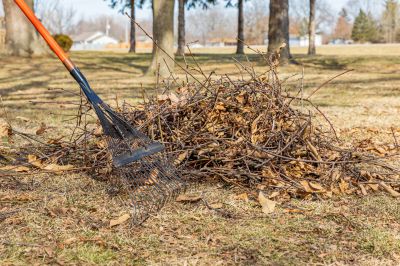 Leaf Raking