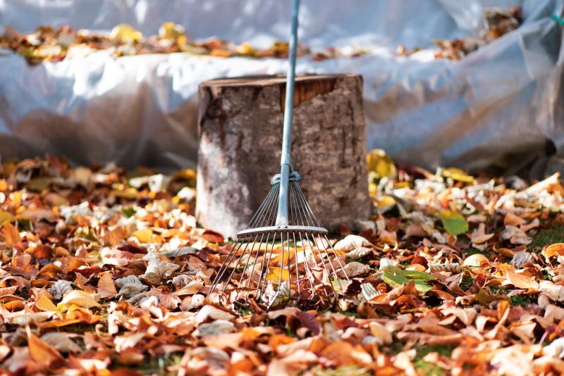 Leaf Raking