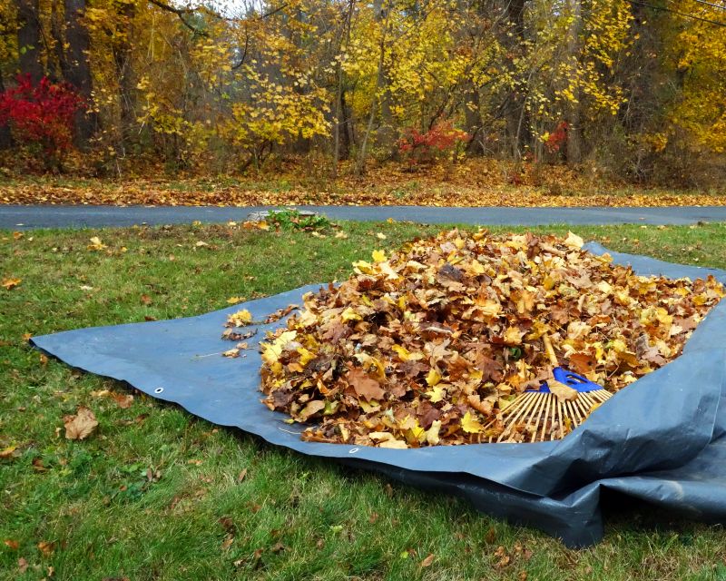 Autumn Leaf Cleanup