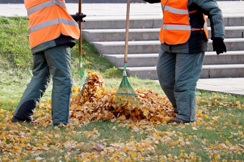 Leaf Pile Cleanup