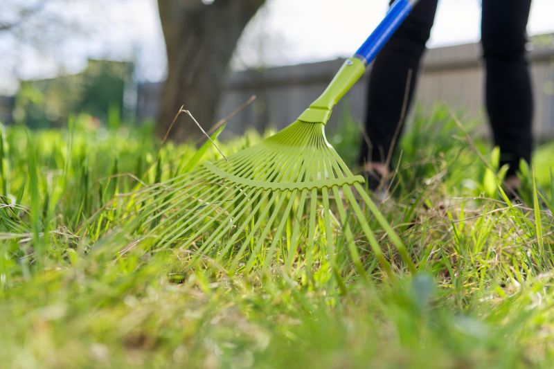 Pine Straw Raking in Honolulu, HI