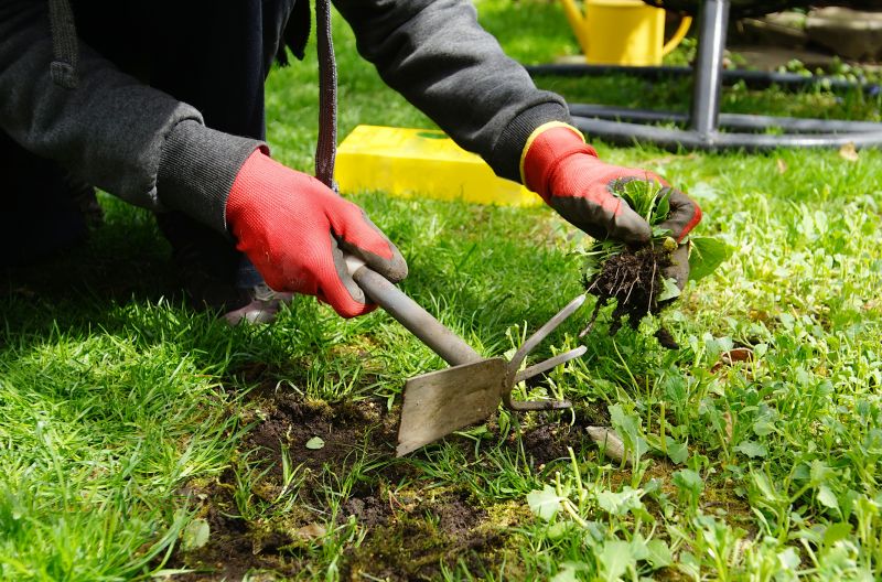 Weeding Service in Honolulu, HI