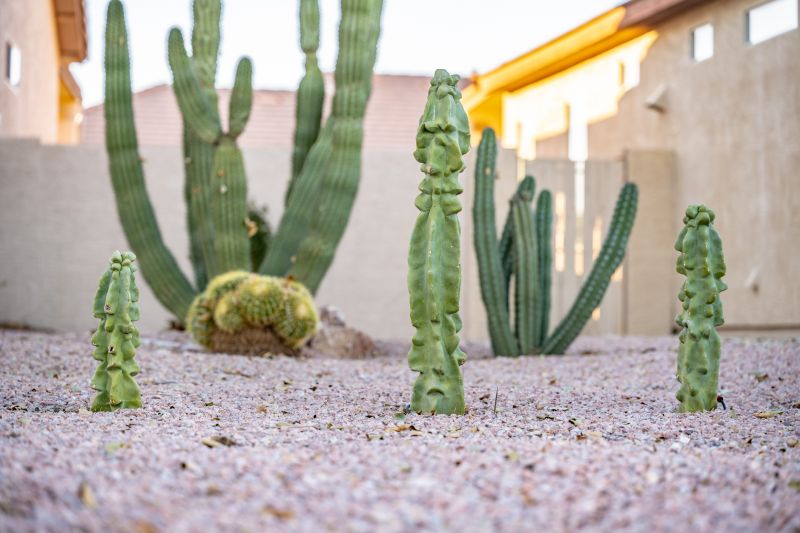 Xeriscape Landscaping in Ventura County, CA