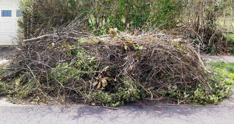Yard Debris Removal in Ventura County, CA